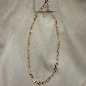American Eagle Outfitters Gold Oval Link Necklace NWT